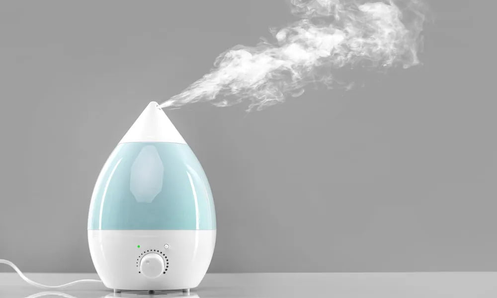Meilleur humidificateur