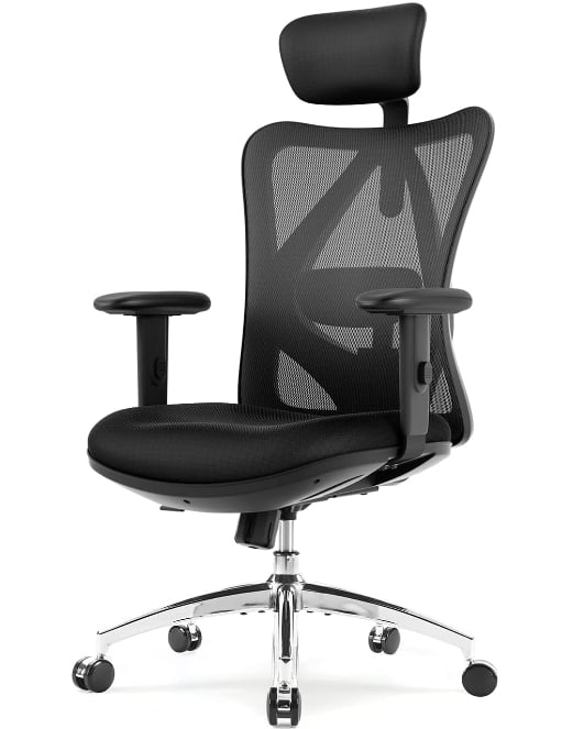 Sihoo Chaise de bureau ergonomique en maille
